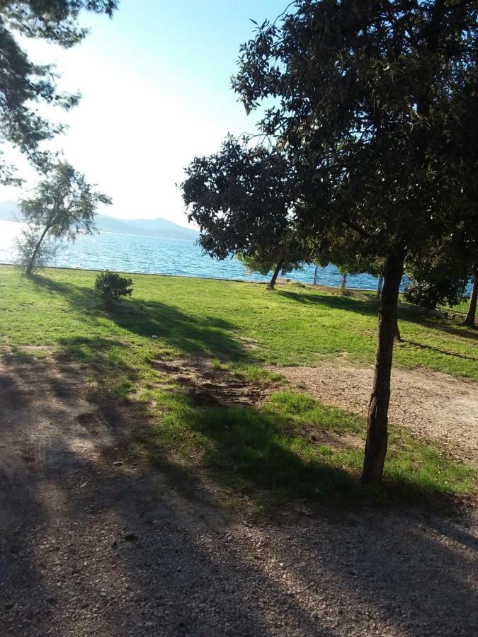 Jazine1 Apartment Zadar Bagian luar foto
