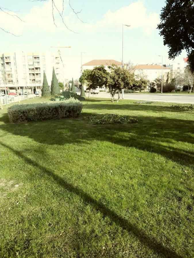 Jazine1 Apartment Zadar Bagian luar foto